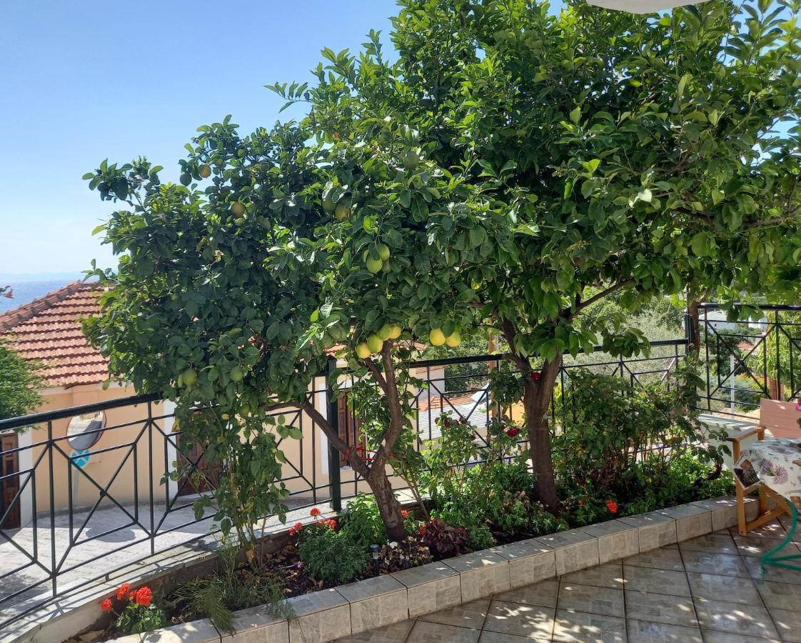 فيلا Πηλιο- Το Εξοχικο Τησ Αννασ- Αφησσοσ أفيسوس المظهر الخارجي الصورة