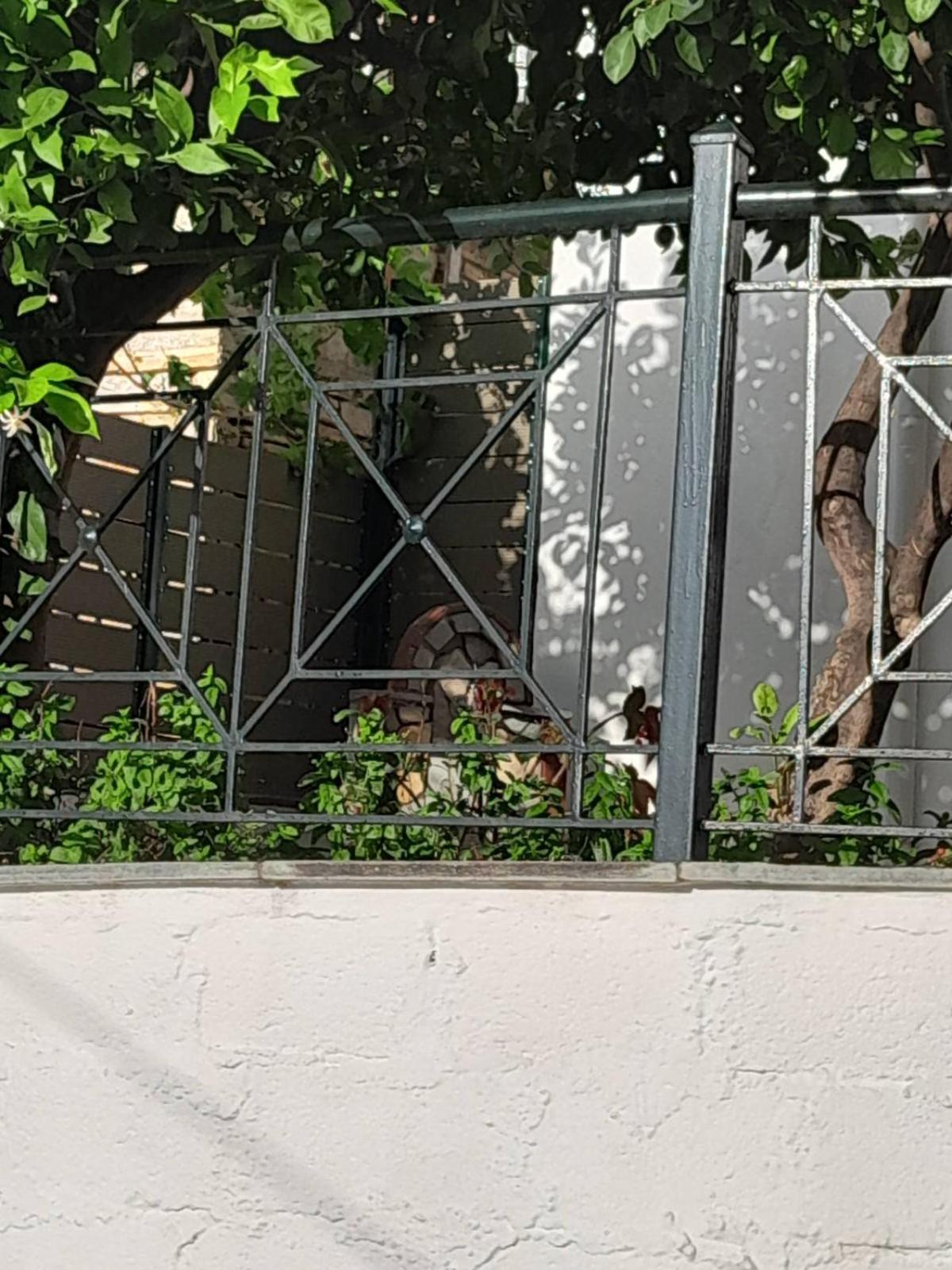 فيلا Πηλιο- Το Εξοχικο Τησ Αννασ- Αφησσοσ أفيسوس المظهر الخارجي الصورة
